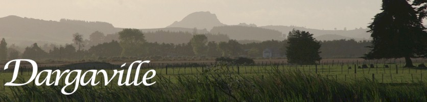 Dargaville Reserves and Open Spaces