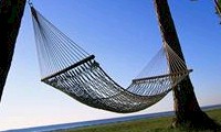Where to Stay in Dargaville