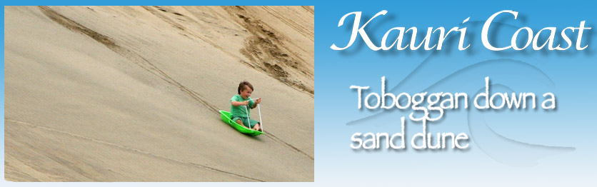 slide show images