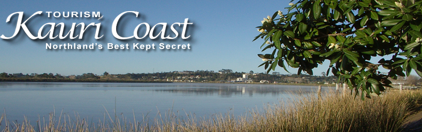 THE KAURI COAST BUSINESS