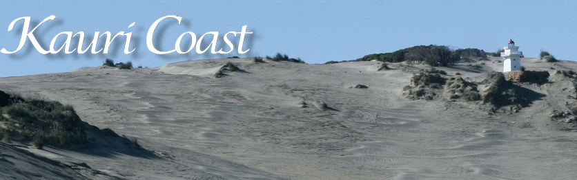 fishing Dargaville