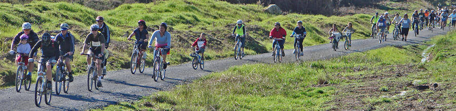 Cycleway Project - background