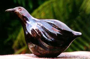Weka