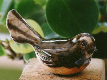Fantail