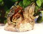 Geckos in a log