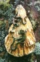 Geckos on a log