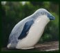 Little Blue Penguin